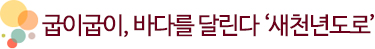 굽이굽이, 바다를 달린다 ‘새천년도로’
