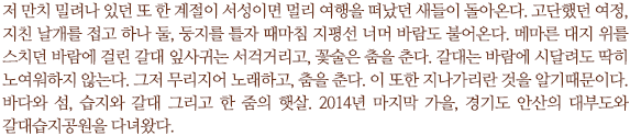 저 만치 밀려나 있던 또 한 계절이 서성이면 멀리 여행을 떠났던 새들이 돌아온다. 고단했던 여정, 지친 날개를 접고 하나 둘, 둥지를 틀자 때마침 지평선 너머 바람도 불어온다. 메마른 대지 위를 스치던 바람에 걸린 갈대 잎사귀는 서걱거리고, 꽃술은 춤을 춘다. 갈대는 바람에 시달려도 딱히 노여워하지 않는다. 그저 무리지어 노래하고, 춤을 춘다. 이 또한 지나가리란 것을 알기이다. 바다와 섬, 습지와 갈대 그리고 한 줌의 햇살. 2014년 마지막 가을, 경기도 안산의 대부도와 갈대습지공원을 다녀왔다.