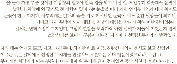 올 들어 가장 추울 것이란 기상청의 엄포에 잔뜩 겁을 먹고 나선 길, 초입부터 희끗희끗 눈발이 날렸다. 차창에 와 닿기도 전 바람에 밀려나는 눈발을 따라 가면 언제부터인가 대지 위에도 눈꽃이 한 무더기다. 사부작대는 갈대의 꽃술 위로 피어나던 눈꽃이 어느 순간 빗방울이 되더니, 기어코 다시 우박이 되어 내렸다. 민낯의 태양을 만나기 위해 떠난 길이었는데 날씨는 변덕스럽기 그지없다. 그렇게 한참을 오락가락 하던 날씨가 제풀에 지쳤는지 잠시 소강상태를 보이자 구름이 지나간 자리마다 선명한 무지개가 반짝였다. 

사실 해는 언제고 뜨고, 지고, 다시 뜬다. 하지만 바로 지금. 찬란한 태양이 몹시도 보고 싶었던 이유는 궂은 날씨에도 선명한 무지개를 만날지도 모른다는 기대 때문이었으리라. 우린 그 무지개를 희망이라 이름 부른다. 너른 대지 위 무지개 끝이 걸려있던 충남 서천의 겨울이야기다.