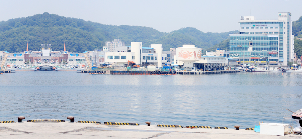 풍요로움의 상징, 구룡포항